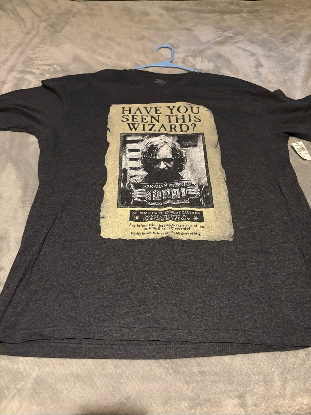 Harry Potter Have You Seen This Wizard? Graphic Tee - Dark Charcoal